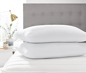 sleeping pillows Market (1)